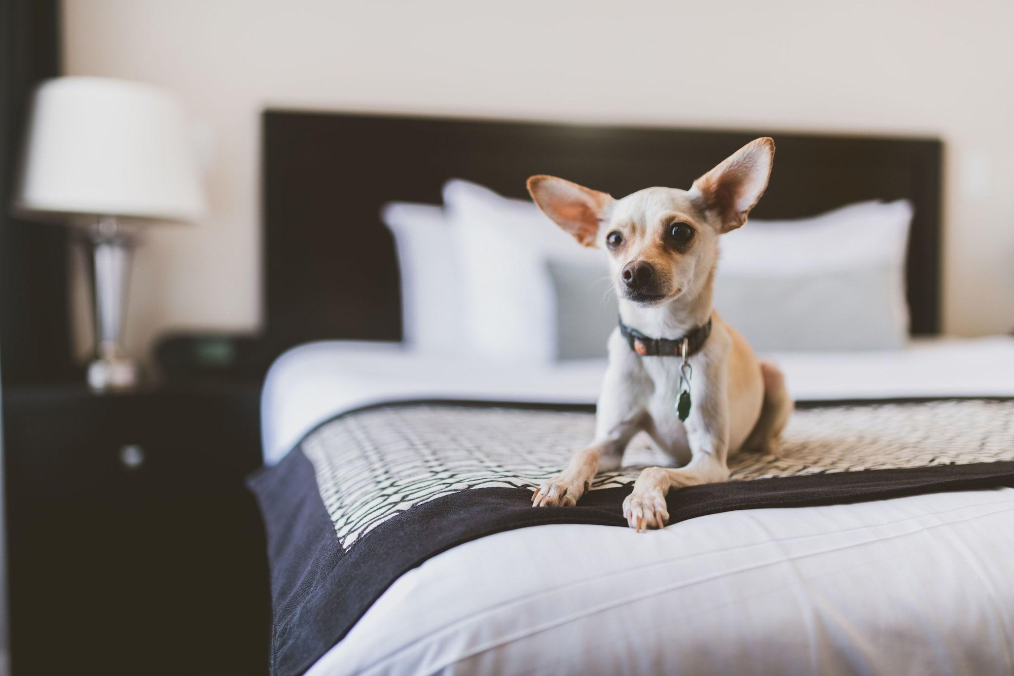 Hotel Rialto Victoria Ngoại thất bức ảnh